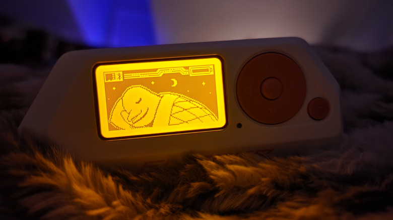 The Flipper Zero showing the dolphin avatar asleep.