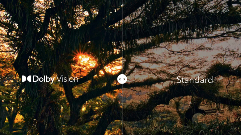 A comparison of a Dolby Vision HDR image next to a regular SDR image.