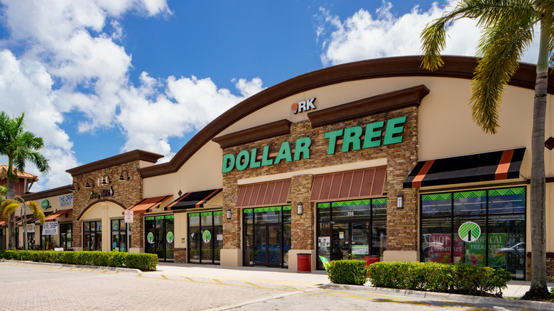 Dollar Tree storefront with logo and palm tree