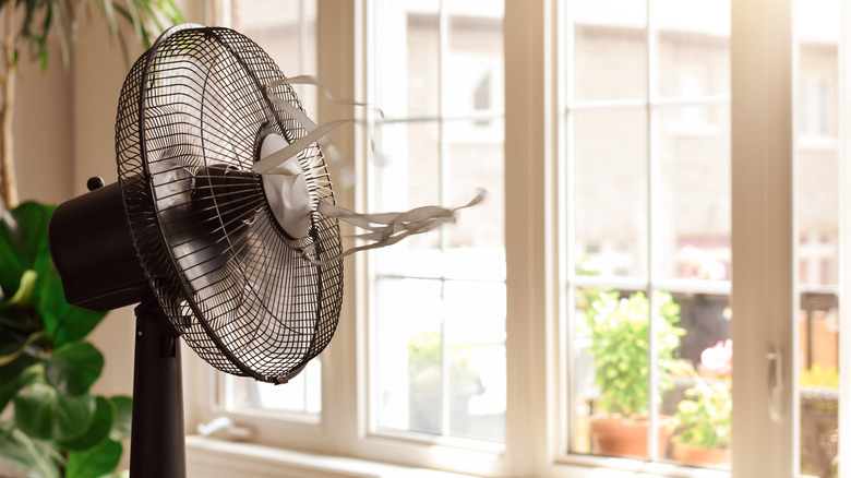 A fan pointed toward a window on a hot day.