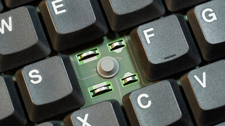 Close up view of a keyboard with the d keycap missing, revealing the underlying switch