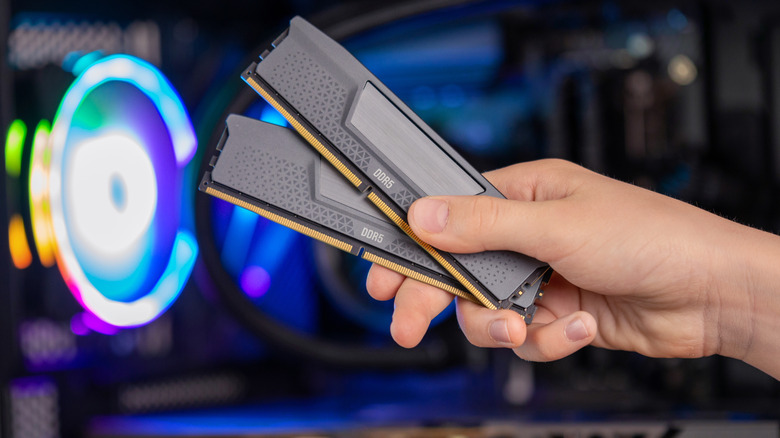 Someone holding two sticks of DDR5 RAM