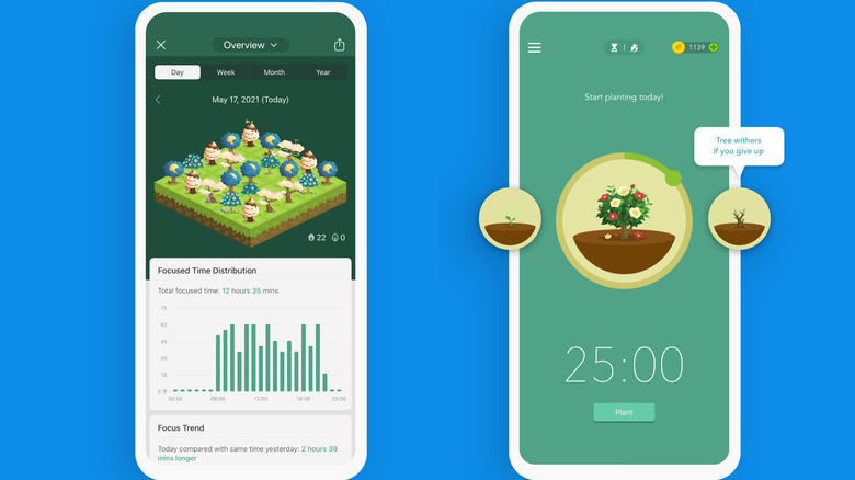Forest app showing focused time chart along with virtual planted trees.