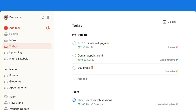 Todoist app interface showing personal tasks and team tasks in Today view.