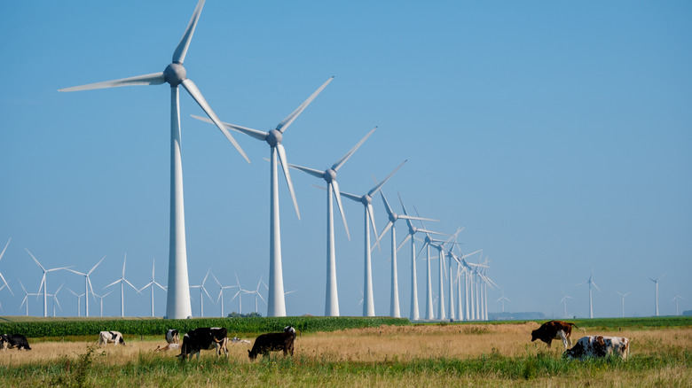 Row of wind turbines in a farm field