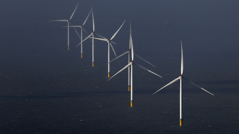 Windfarms stand in the sea off the East coast near the Humber Estuary on March 11, 2025 in the North Sea, United Kingdom.