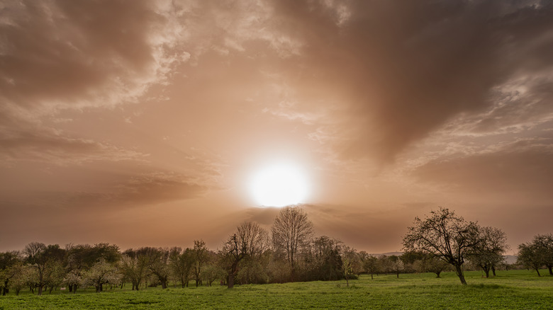 Saharan dust in Europe turning the sky red.