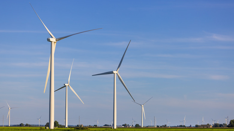 Wind farm