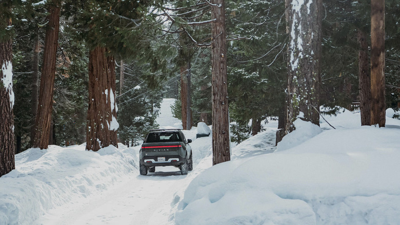A Rivian R1T drives down a snowy forest road.