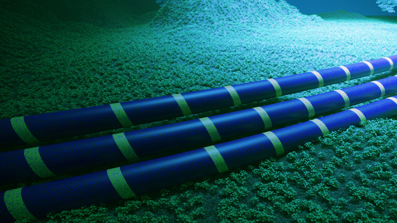 Fiber-optic cables on the seabed.