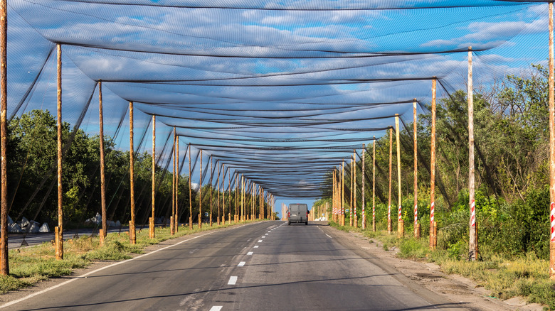 Drone nets on a road in Ukraine