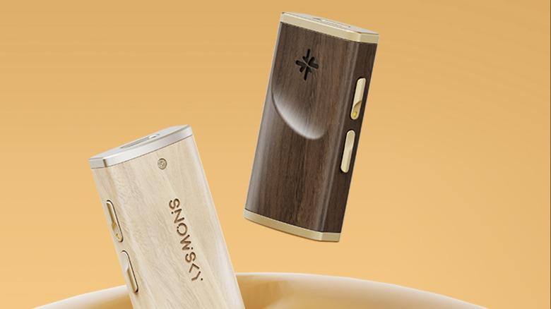 A picture of FiiO Snowsky Melody DAC