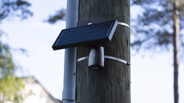 A Flock Safety Raven gunshot detection device sits strapped to a telephone pole beneath a solar panel.