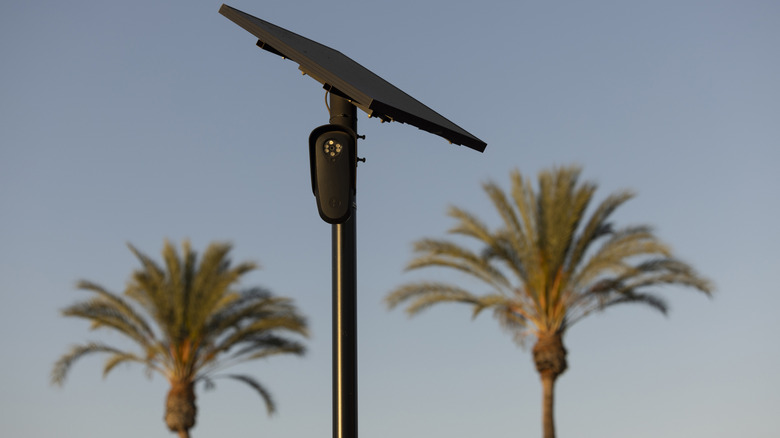 Flock camera installation with palm trees in the background.