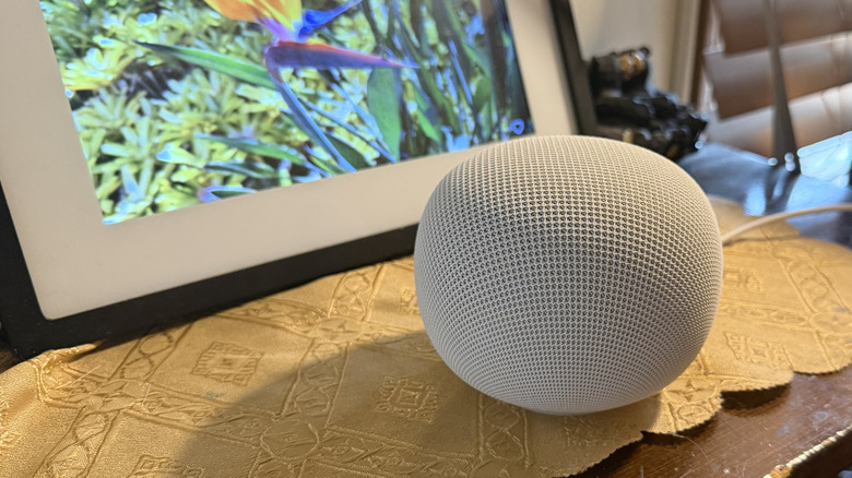 Google Home Speaker on a shelf with a digital photo frame.