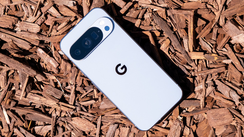 Back of the Google Pixel 10 Pro