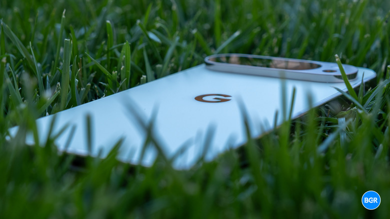 Google Pixel 10 Pro XL in grass
