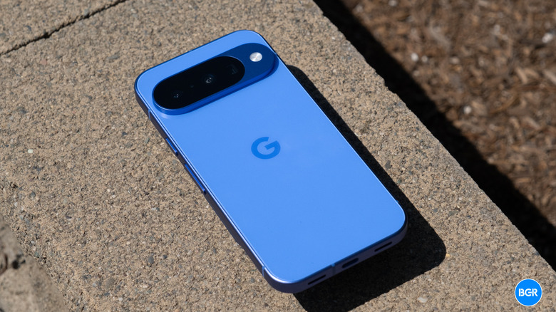 Back of the Google Pixel 10