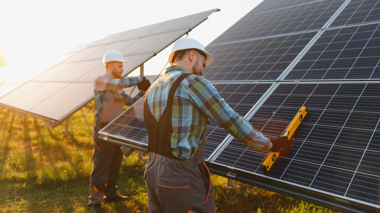 People inspecting solar panels in a field