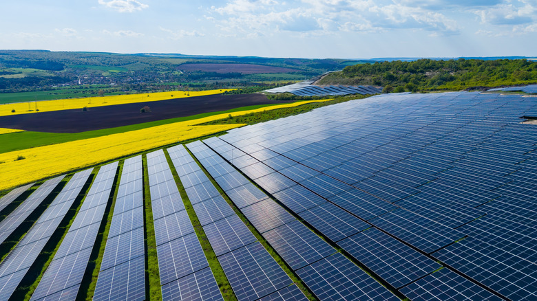 Large field with solar panels