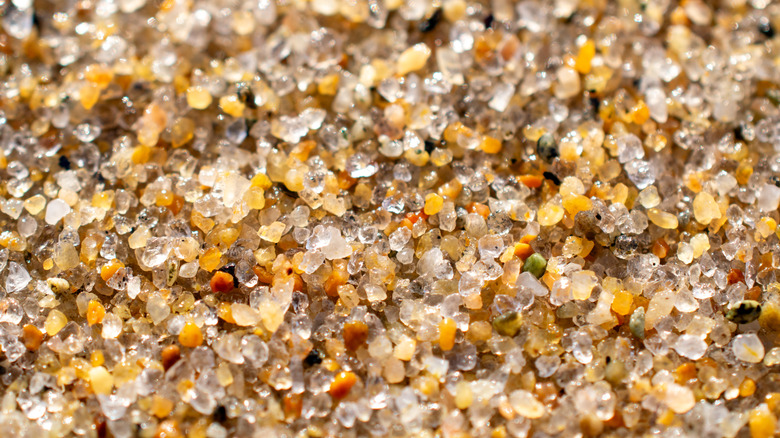 A close-up picture of beach sand.