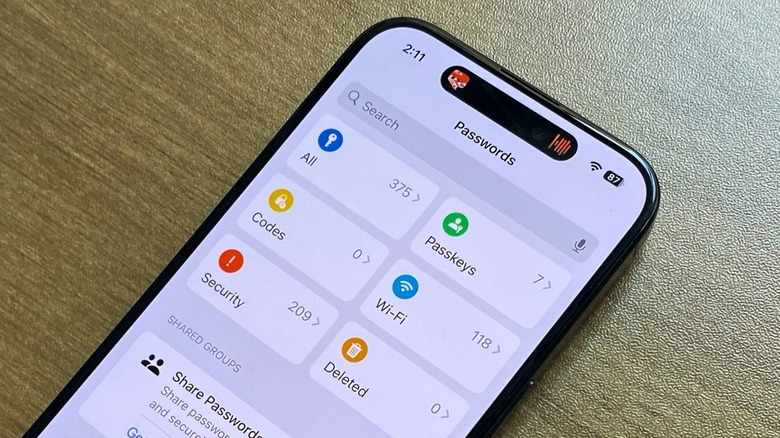 Apple's Passwords app on an iPhone 16 Pro Max