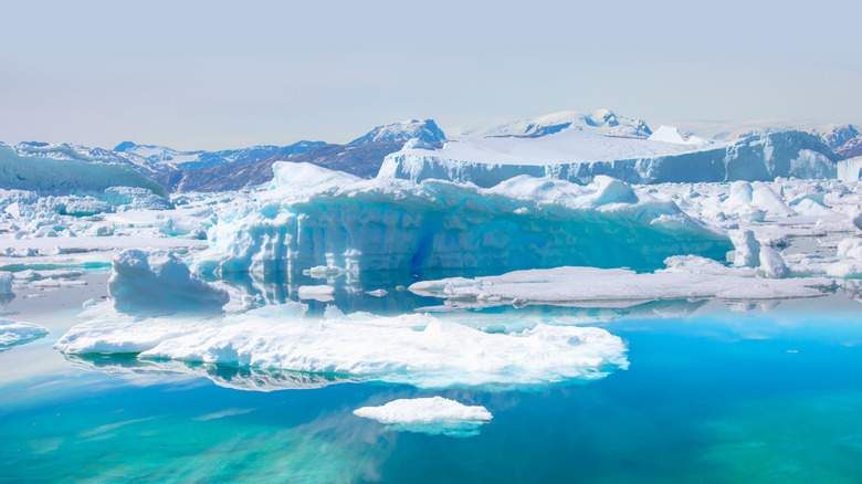 Glaciers and ice in Tiniteqilaaq Greenland