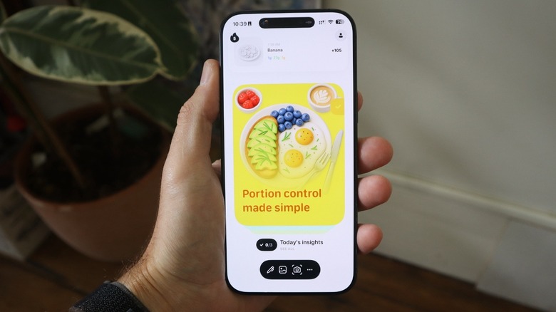 Foodllama app screen showing insights for a healthier meal