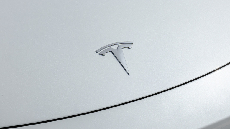Close-up of the Tesla logo on the hood of a Tesla Model Y.