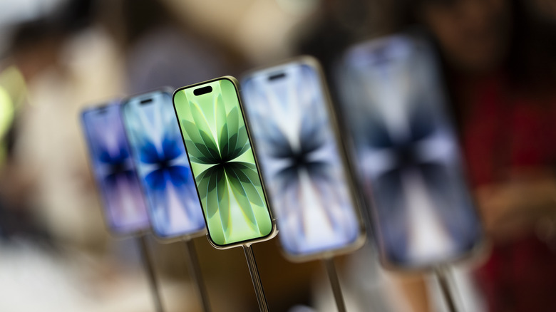 The base iPhone 17 on display in a store.