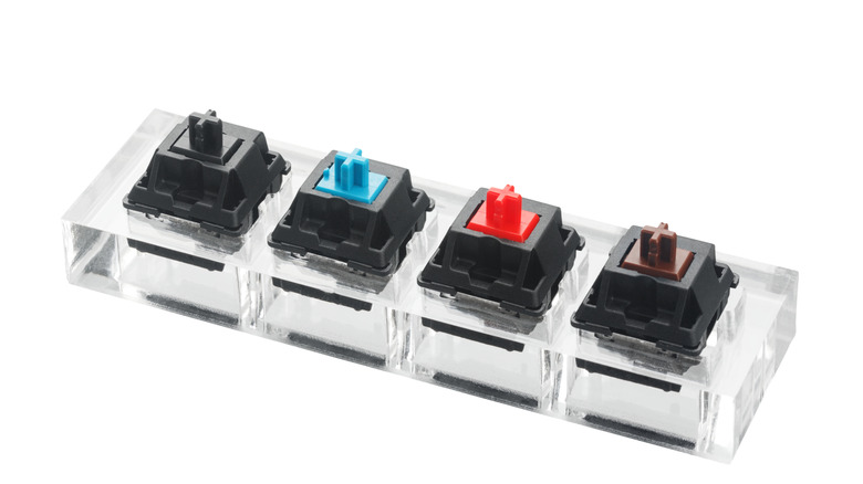 Black, blue, red, and brown keyboard switches