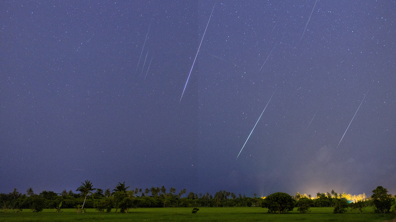 A meteor shower in the night sky over a forest