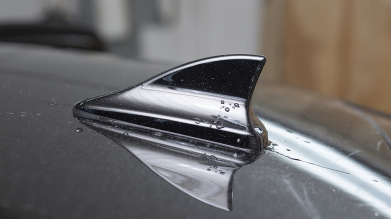 Black shark fin antenna on roof of vehicle