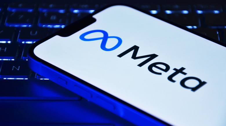 Meta company logo shown on smartphone screen