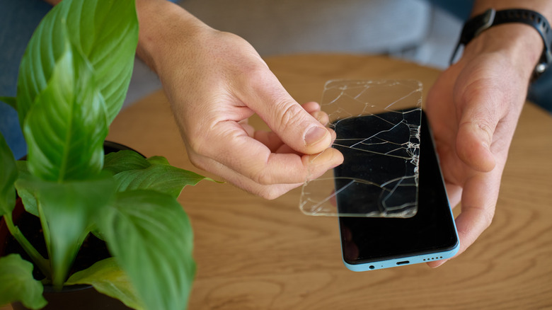Someone holding a cracked standalone screen protector above a smartphone