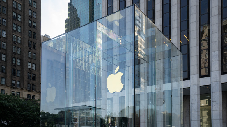 The Apple flagship store