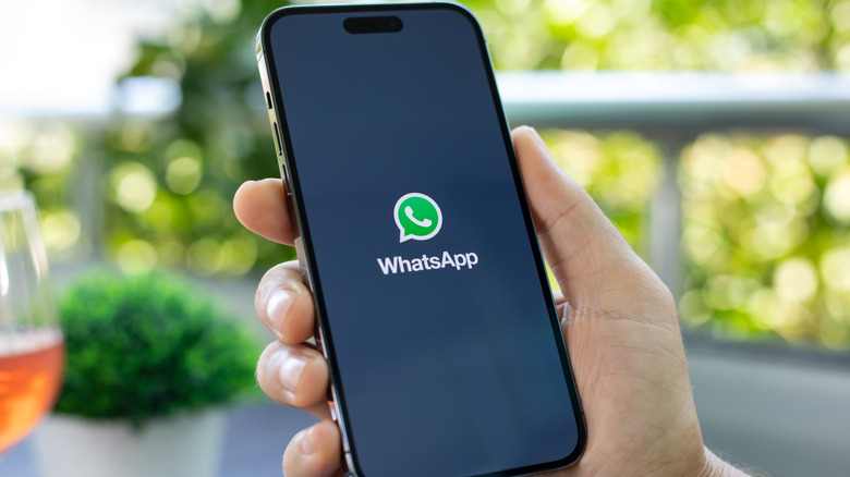 A hand holding an iPhone displaying the WhatsApp logo