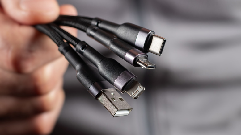 A closeup of a hand holding a USB-C cable, USB micro, Apple Lightning connector, and the end of a USB-A cable.