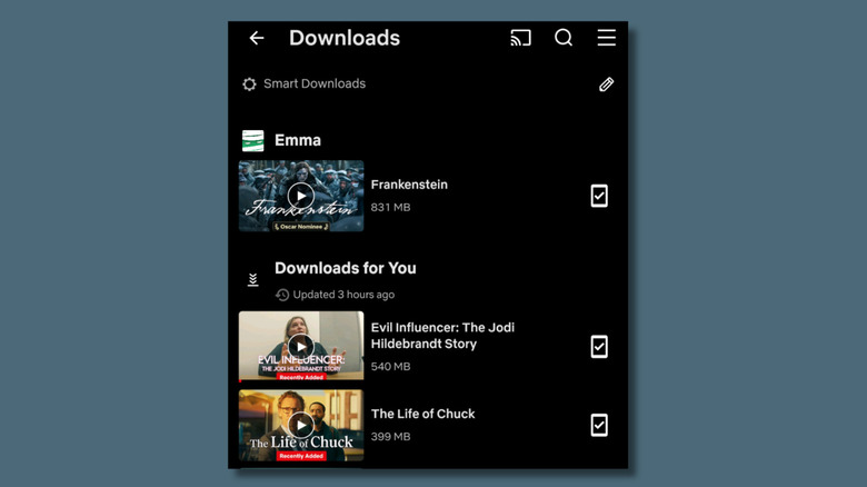 Screenshot of Downloads of Netflix phone app