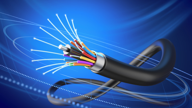 A cord of fiber optic cable.