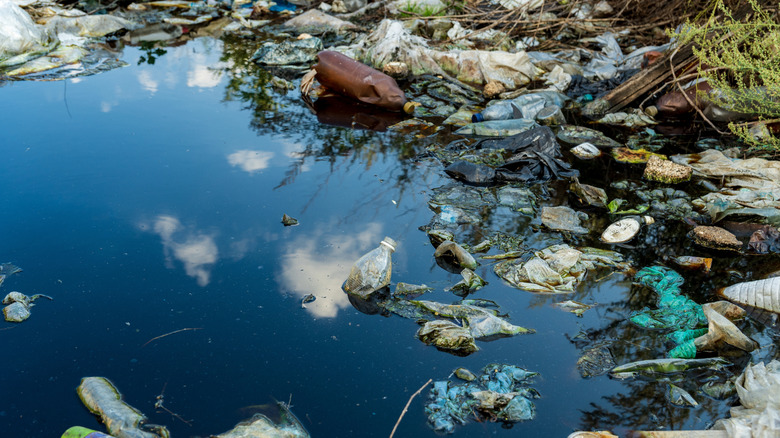 plastic pollution in the water