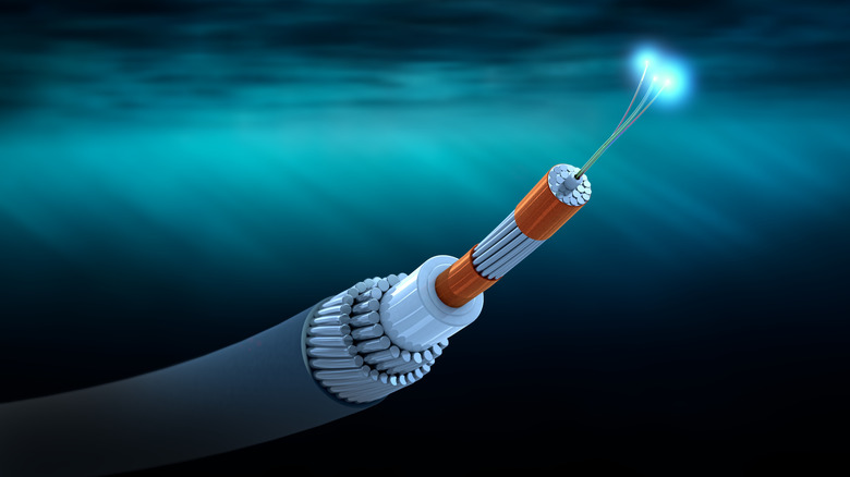 Rendering of the cross-sections of a submarine fiber-optic cable.