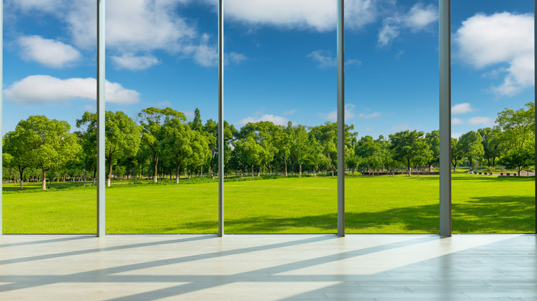 sunlight shines through tall glass windows with a green park on the other side