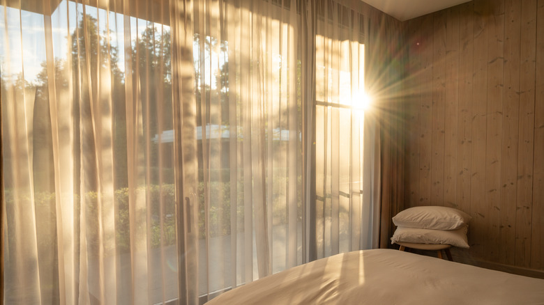 sunlight coming through bedroom windows with trees outside