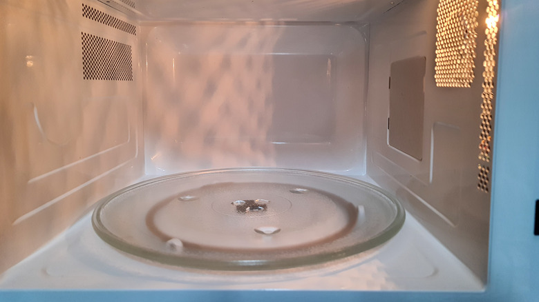 The cooking chamber of a microwave oven.