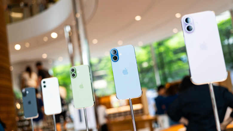 Rows of iPhone 17 in different colors on display