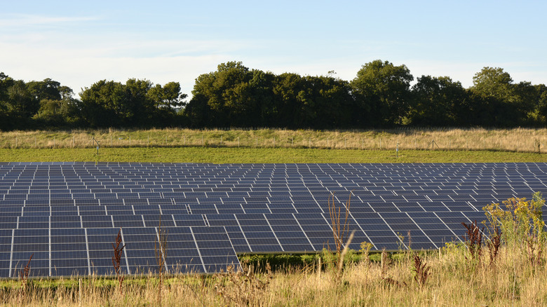 Solar panels in a field