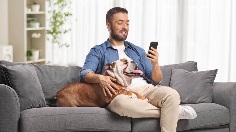 A man looking at a smartphone while sitting on a gray couch with his dog.