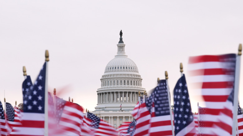 U.S. Capitol Building
