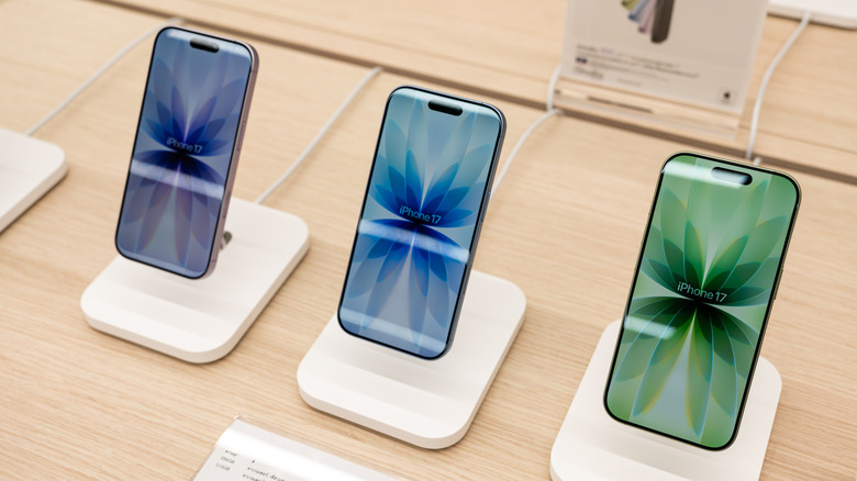 The standard iPhone 17 on display in a store.